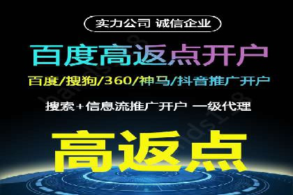 搜索引擎关键词竞价排名的策略调整与案例